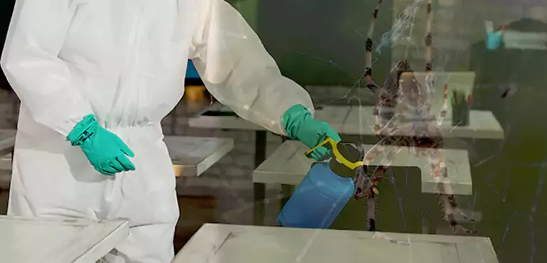 Why Buyers Still Want Homes With Pest Infestations in Payette, ID?