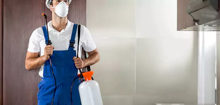 Why Payette Homeowners Choose Us When Pests Make Selling Difficult