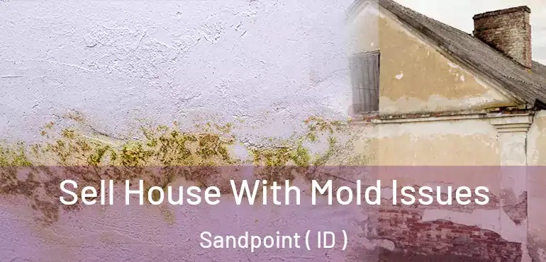  Sell House With Mold Issues Sandpoint ( ID )